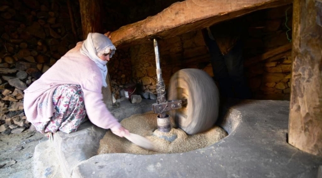 Bitlis'te asırlık su değirmeninde çeltikler pirinç haline getiriliyor