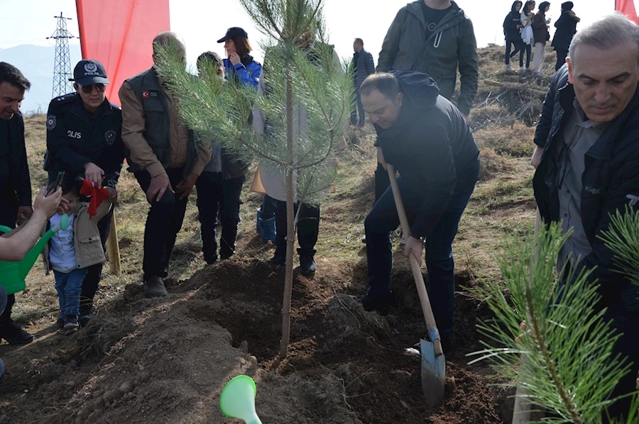 Milli Ağaçlandırma Günü'nde Fidanlar Tatvan'da Toprakla Buluştu