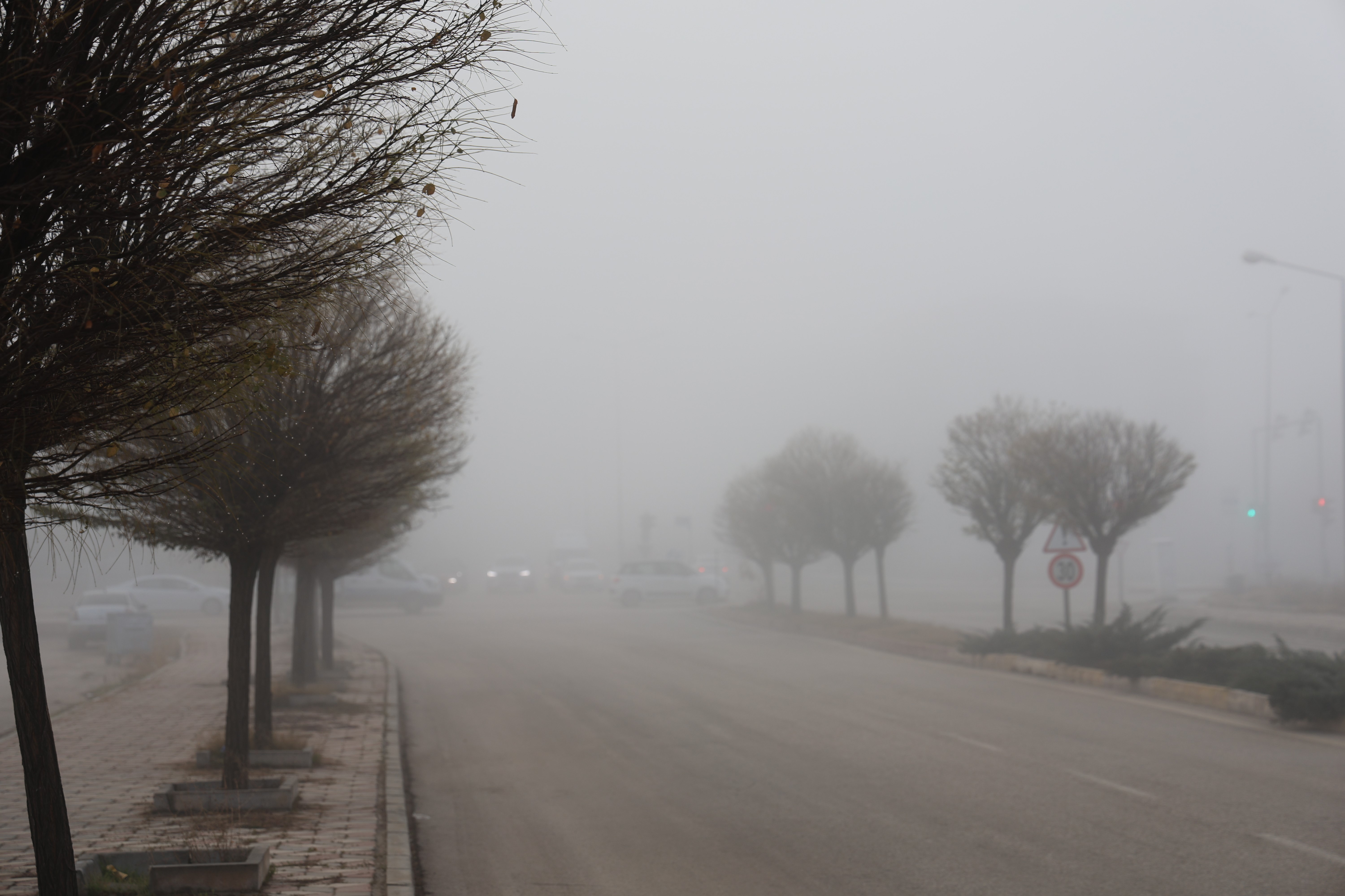Elazığ'da sis hayatı olumsuz etkiledi