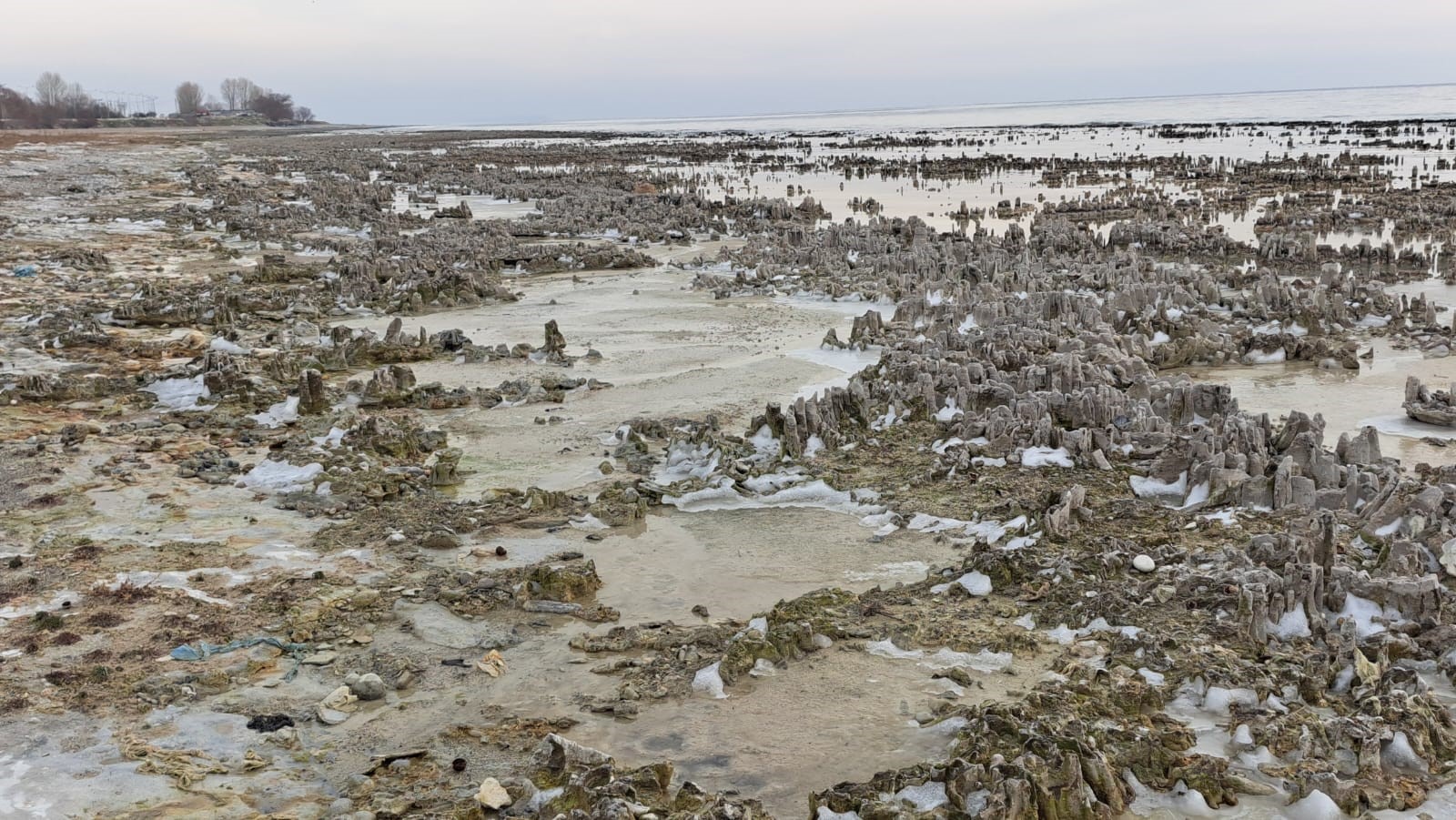 Kuraklık Van Gölü sahilini mikrobiyalit tarlasına dönüştürdü