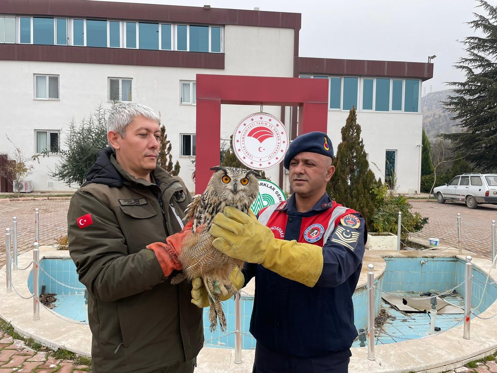Malatya'da yaralı bulunan baykuş koruma altına alındı