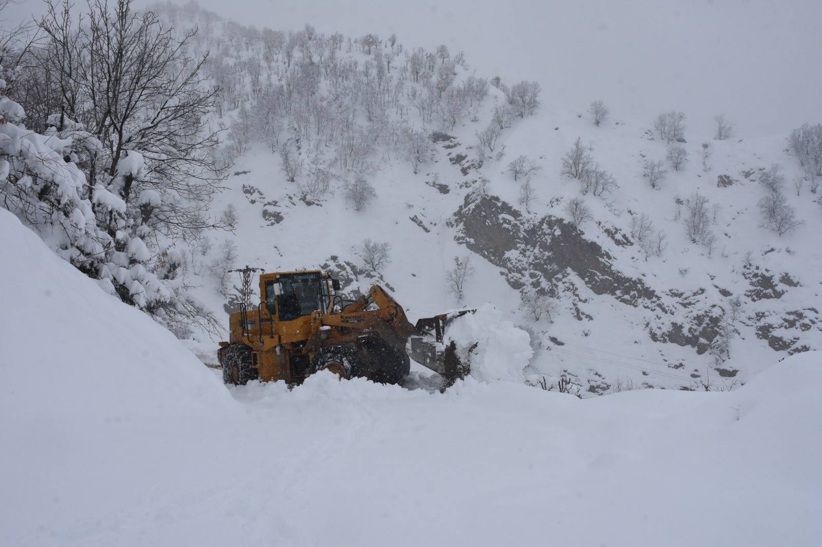 Bitlis'in köylerinde karla mücadele çalışması