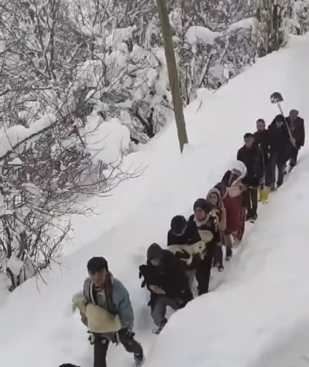 Vatandaşlar sürü ile birlikte kuzuları kucaklarında taşıdılar