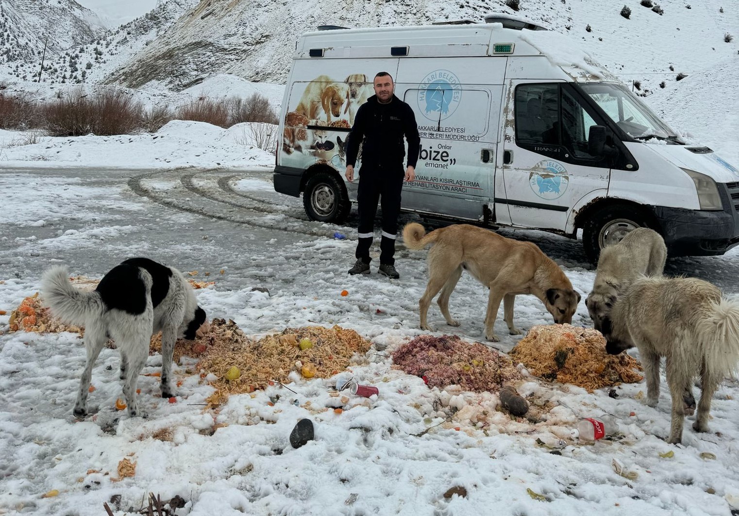 Hakkari'de sokak hayvanlarına yiyecek bırakıldı