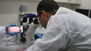 Bitlis Eren Üniversitesinde 'Hücre Kültürü' laboratuvarı kuruldu